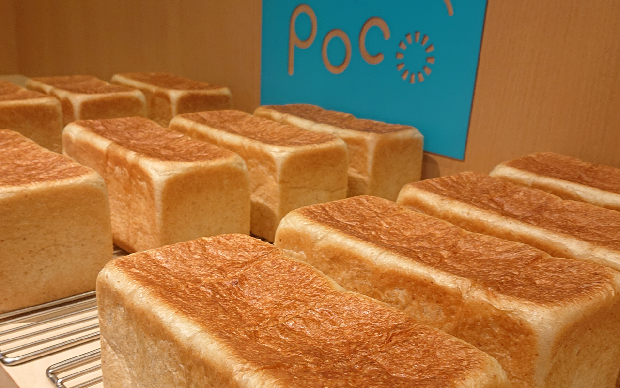 POCO-POCO