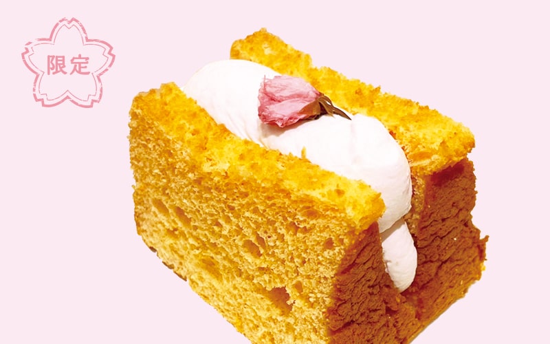 桜味の生クリームを挟んだふわふわシフォンケーキ